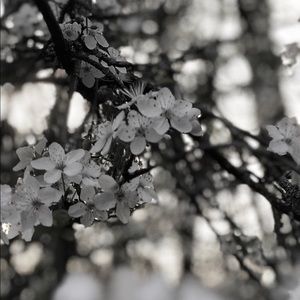 Meet your Posher, Patti